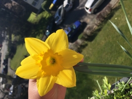 03-27-17-b