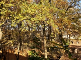 Garagenhof-Herbst-2