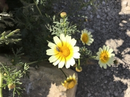 4E10686D-9F03-4A1C-AF1D-79BEC846EB01