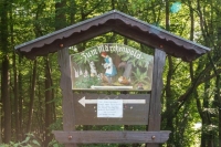 Maerchenwald-02-klein