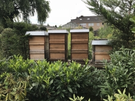 IMG_5131