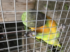 IMG_5164