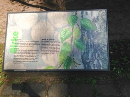 Strundenwanderung-100