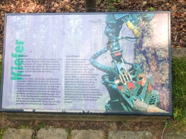 Strundenwanderung-101