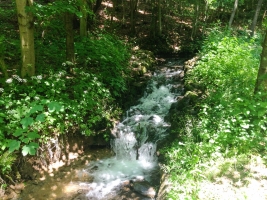 Strundenwanderung-105