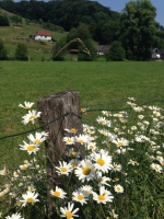 Strundenwanderung-117