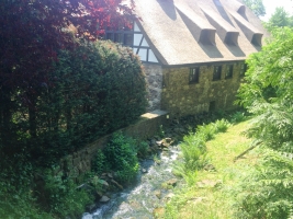 Strundenwanderung-133