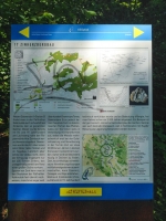 Strundenwanderung-30