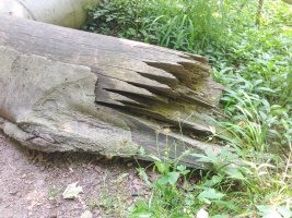Strundenwanderung-32