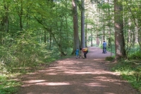 Wildgehege-02-klein