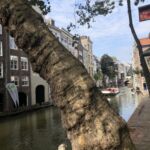 unten an der alten Gracht, sogar Bäume wachsen hier, ein Stockwerk tiefer als die Straße