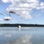 Weißer Findling im Windebyer Noor Weißer Findling im Windebyer Noor