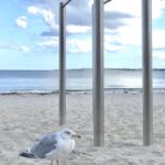 Ostseestrand in Eckernförde Ostseestrand in Eckernförde