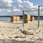 Ostseestrand in Eckernförde Ostseestrand in Eckernförde