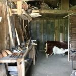 Holzhandwerkerhaus Holzhandwerkerhaus