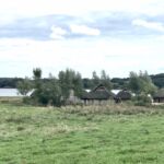 die rekonstruierten Wikingerhäuser die rekonstruierten Wikingerhäuser