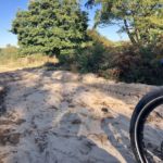 Sandweg in der Wahner Heide